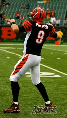 NFL Cincinnati Bengals quarterback Carson Palmer