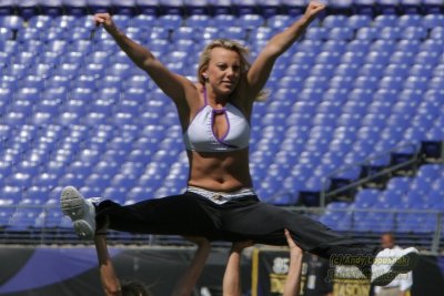 NFL Baltimore Ravens cheerleader