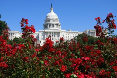 The Capitol