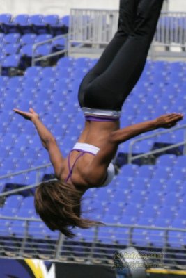 Baltimore Ravens cheerleader