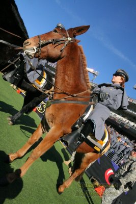 2007 Army-Navy Game