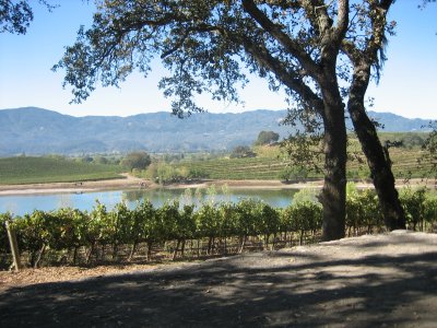 Quintessa Pond
