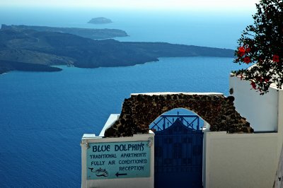 DSC_0354.jpg