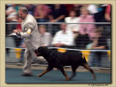 RNA 2007 Dog Show 2.jpg