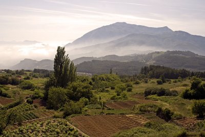 Scenic view from Platanos