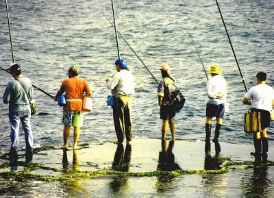 Fishermen -Jaffa Port