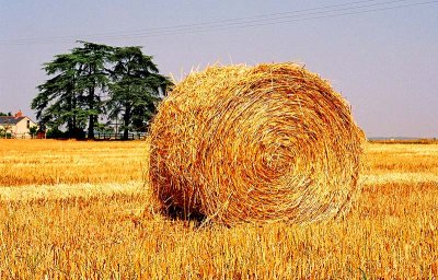 Hay-France