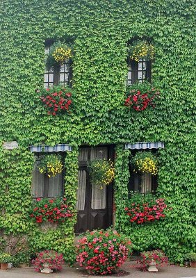 France-door&windows