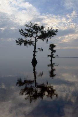 Mid Morning @ Lake Maurepas