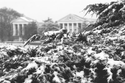 Campus in winter