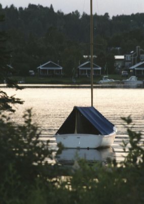 g6/53/770853/3/83942295.ItgzvQpo.jpg