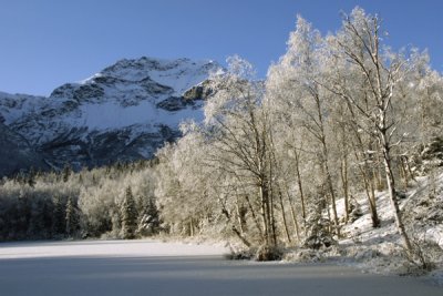 Dew Lake Winter