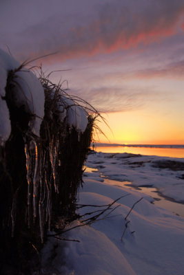 Icy Sunset