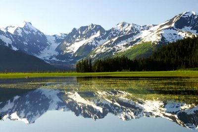 Turnagain Reflection