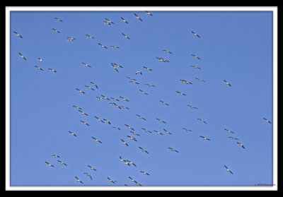 group soar1_MG_7752.jpg