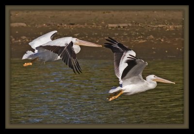 take off_MG_7395.jpg