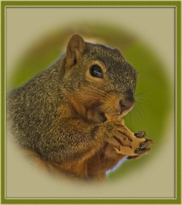 Yum yum_MG_7786.jpg