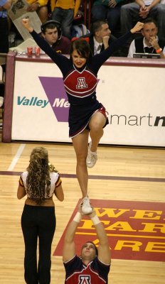 Two Arm Mount #2
