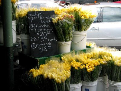 tall yellow french tulips (such a bargain!)