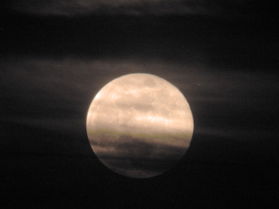 g6/54/24354/3/74204974.DW1SQEPm.jpg
