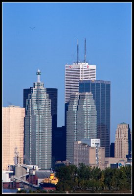 Downtown Toronto High Rises