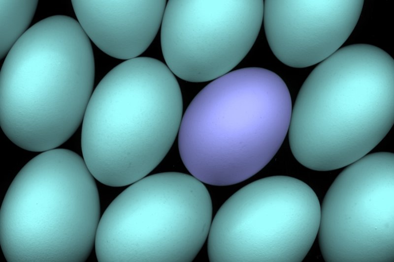 Eggs-em.jpg