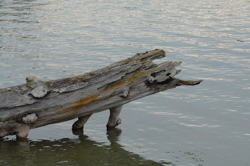 15. Natural Sculpture - J vdH