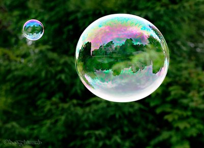 HOME IN A BUBBLE