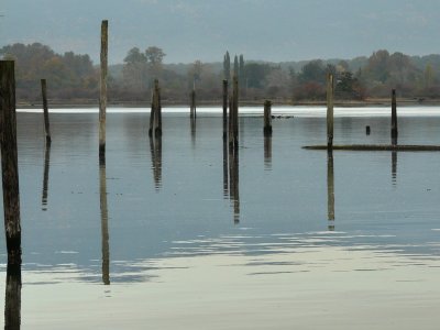 Morning, Cowichan Bay