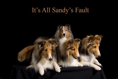 Sandys Fault 5480.jpg