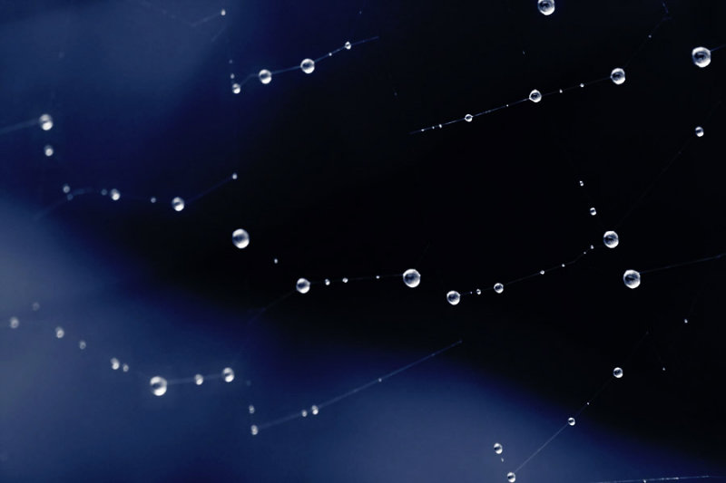 19 Aug... Constellations
