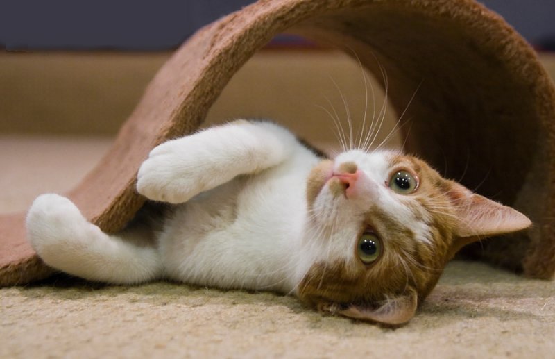 16 Oct... Playtime !