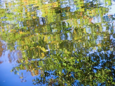 Green ripples