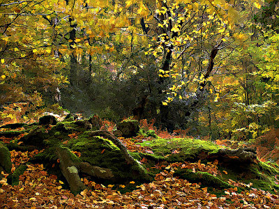 Ancient bank3.jpg