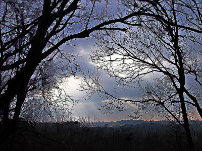 Fine art images