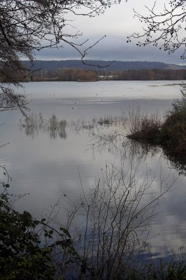 The lake 2