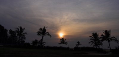 17 Jan... Palms at sunset