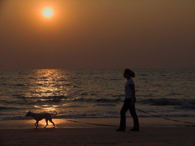 Walkies at sunset