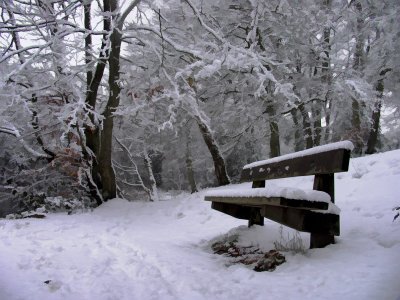 Snowy bench2