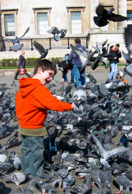 26 Mar... Feeding the pigeons