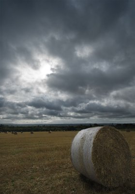 Under the sky