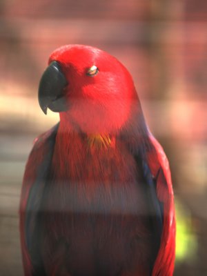 Love that RED Color