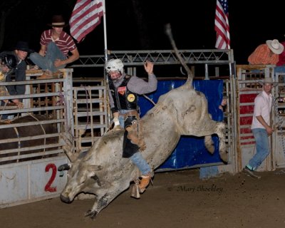 RodeoIMG_5423web.jpg