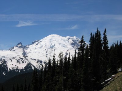 Mt Rainier WA 008.jpg