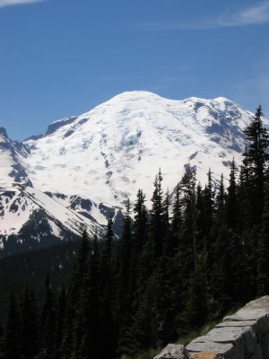 Mt Rainier WA 013.jpg