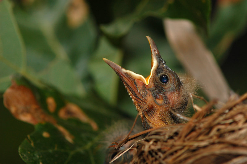 DSC_4424sm.jpg