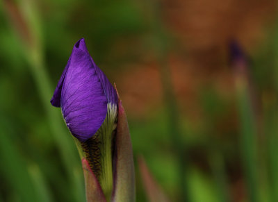DSC_3333sm.jpg