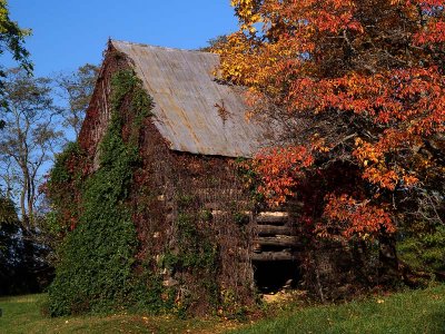 wLog Cabin1.jpg