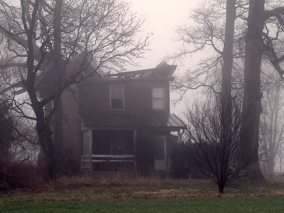 w650 House in Fog1 color.jpg