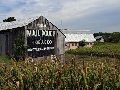 wMail Pouch Tobacco2.jpg